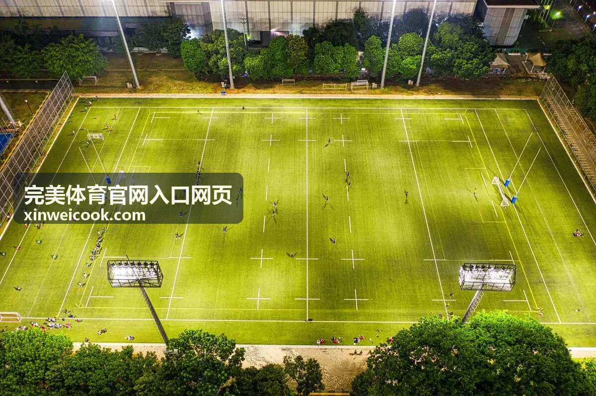 完美体育官网入口网页杯赛淘汰赛规则资料条目配图